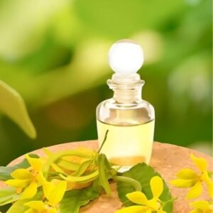Ylang Ylang Essential Oil